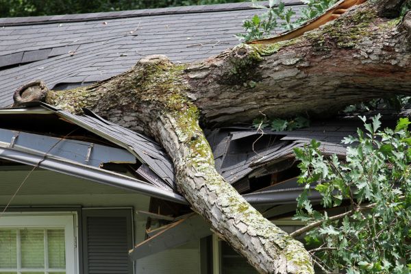 Storm Remediation in Ann Arbor