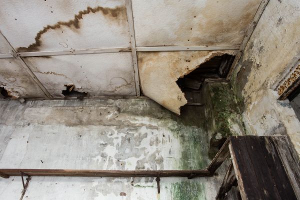 Water Damage Service in Ann Arbor