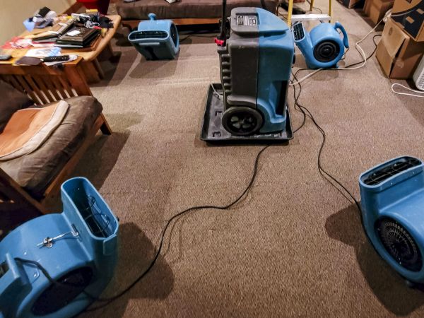 Flood Damage Recovery in Ann Arbor