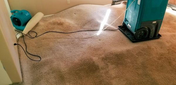 Flood Damage Cleanup in Ann Arbor