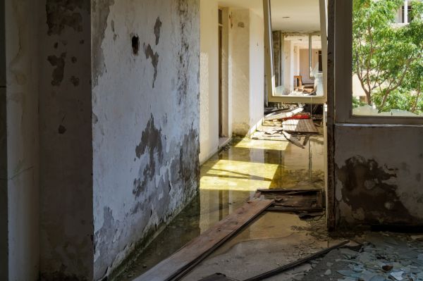 Water Removal Service in Ann Arbor