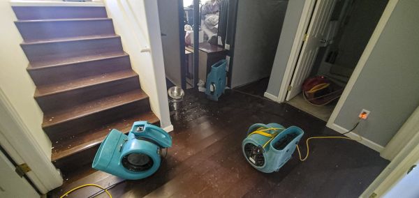 Water Damage Remediation in Ann Arbor