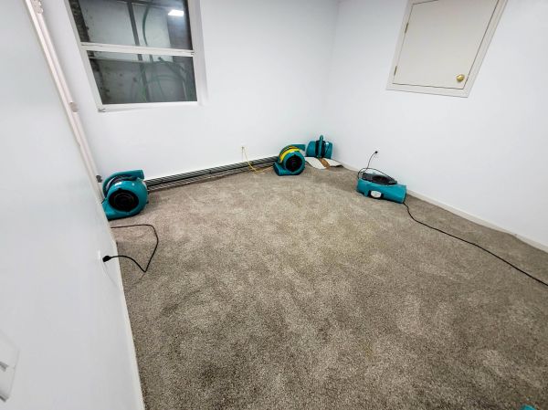 Flood Restoration Service in Ann Arbor