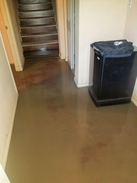 Emergency Water Removal in Ann Arbor