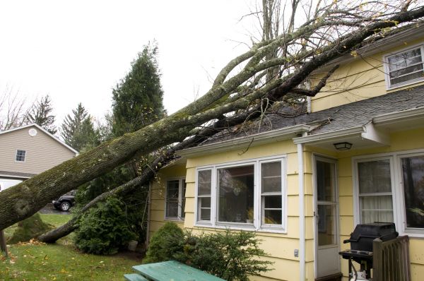 Hurricane Damage Repair in Ann Arbor